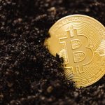 Комиссия на бирже CoinEx image_117.jpg