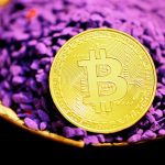 Вывод денег из CoinEx подробная инструкция unsplash_424.jpg